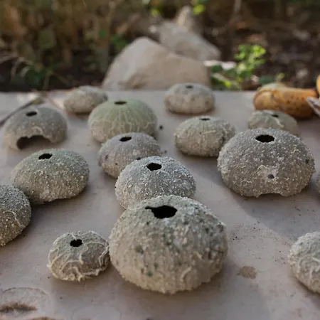 Rino, Only 30m From The Sea アパート