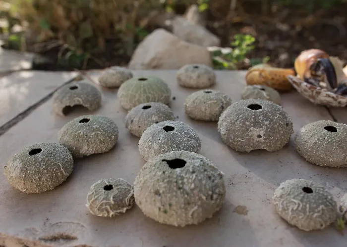 Rino, Only 30m From The Sea 公寓